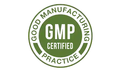 fast lean pro gmp certified